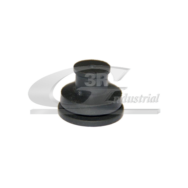 Cache moteur troisRG