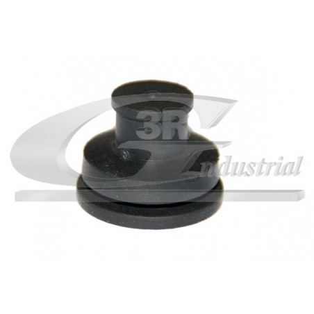 Cache moteur troisRG