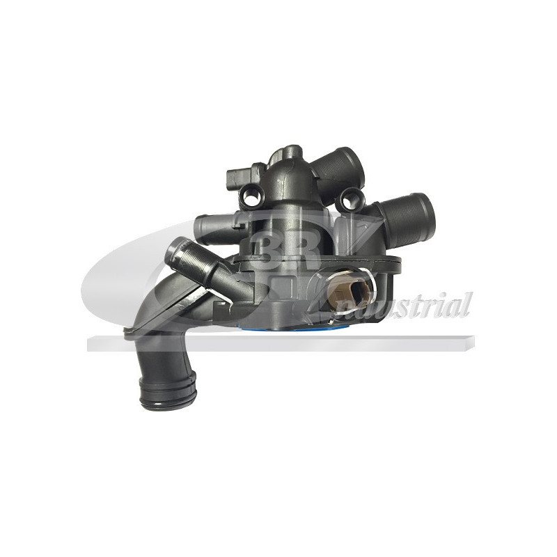 Thermostat d'eau troisRG