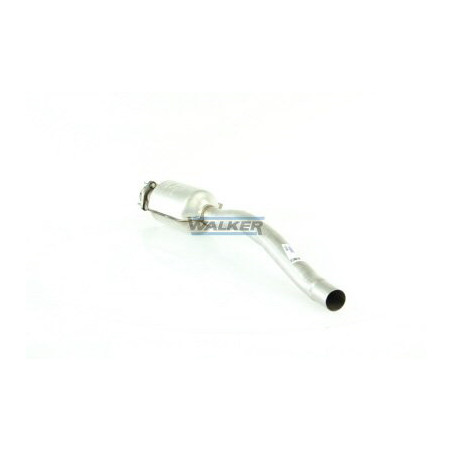 Catalyseur WALKER