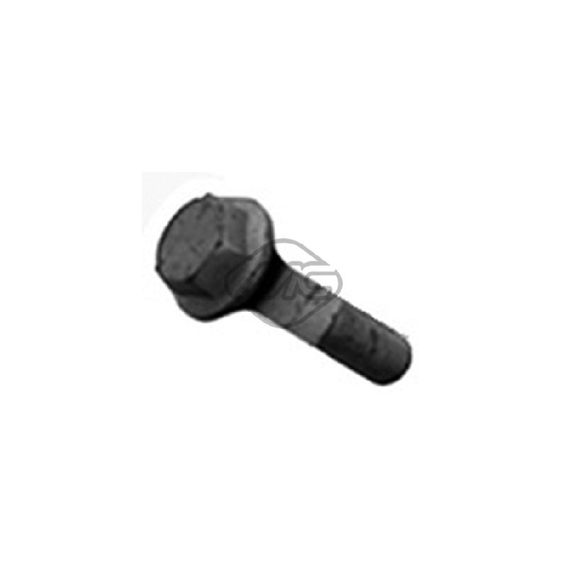 Boulon de poulie Metalcaucho