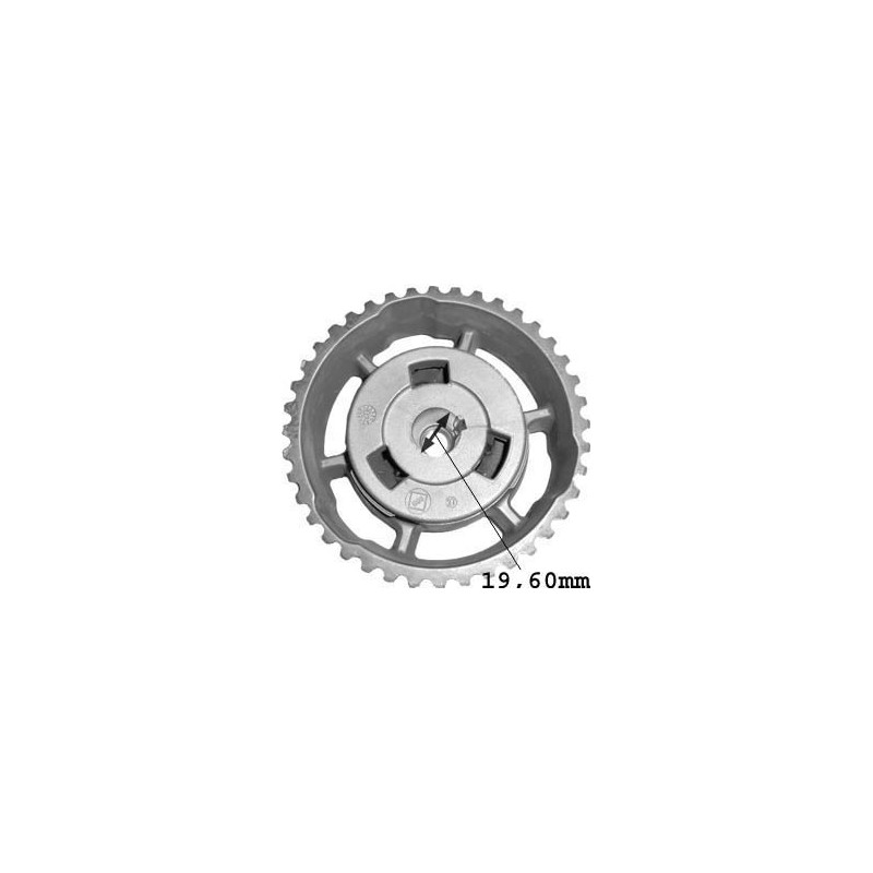 Pignon, pompe d'injection Metalcaucho