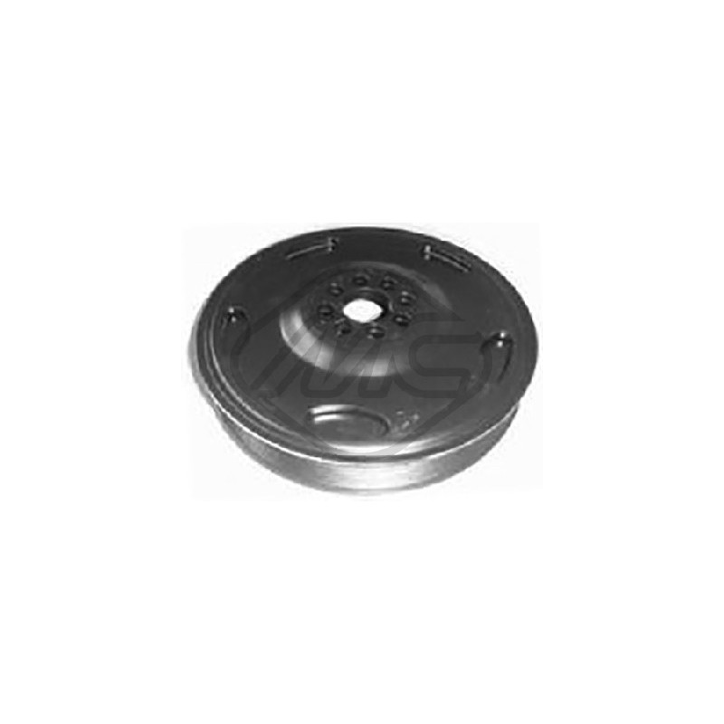 Poulie damper Metalcaucho