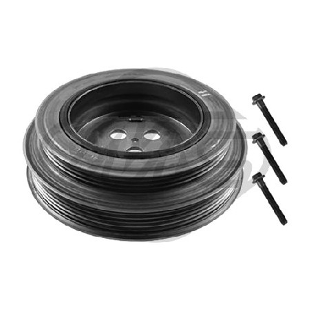 Poulie damper Metalcaucho