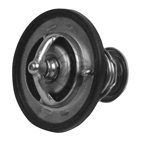 Thermostat d'eau Metalcaucho