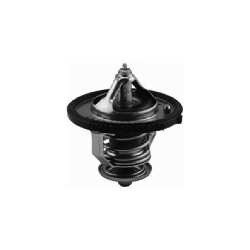 Thermostat d'eau Metalcaucho