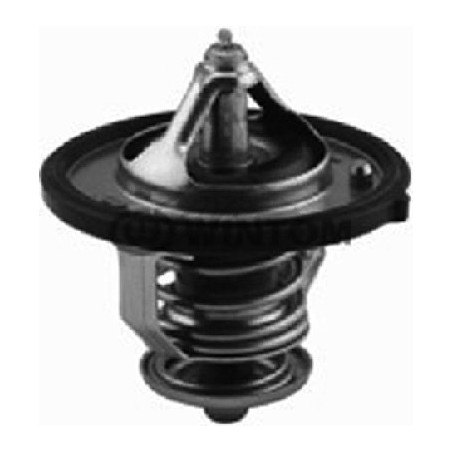 Thermostat d'eau Metalcaucho