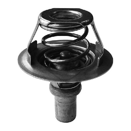 Thermostat d'eau Metalcaucho