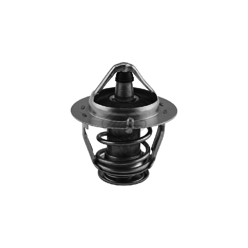 Thermostat d'eau Metalcaucho