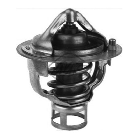 Thermostat d'eau Metalcaucho