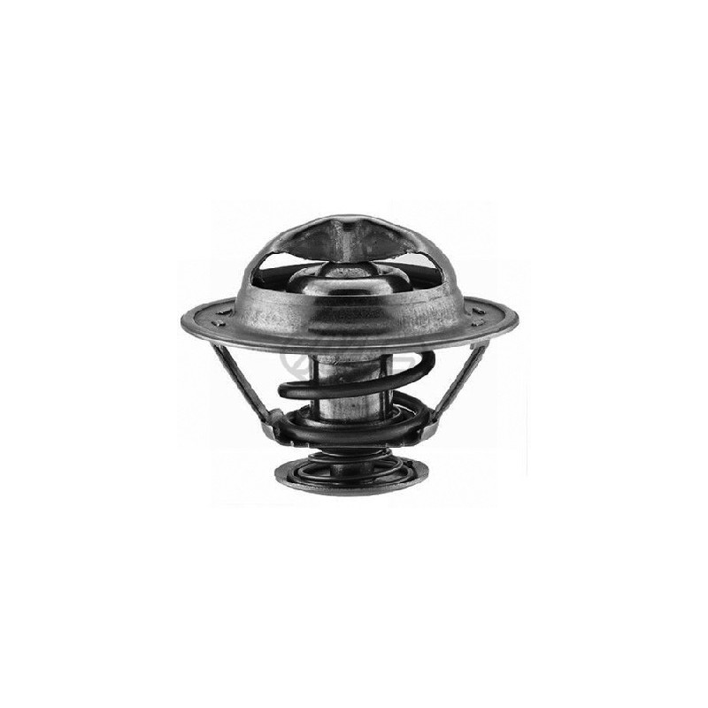 Thermostat d'eau Metalcaucho