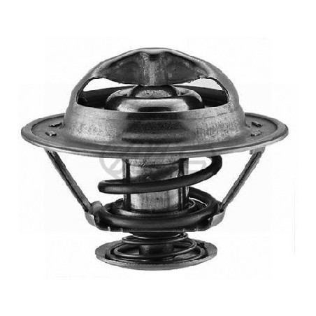 Thermostat d'eau Metalcaucho