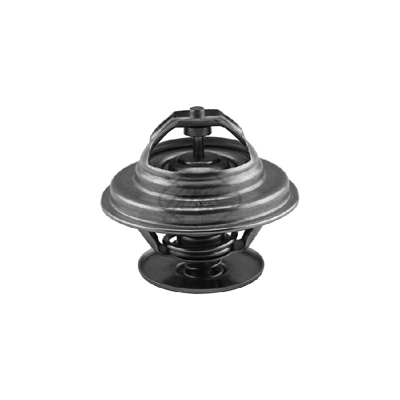 Thermostat d'eau Metalcaucho