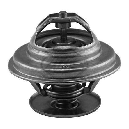 Thermostat d'eau Metalcaucho