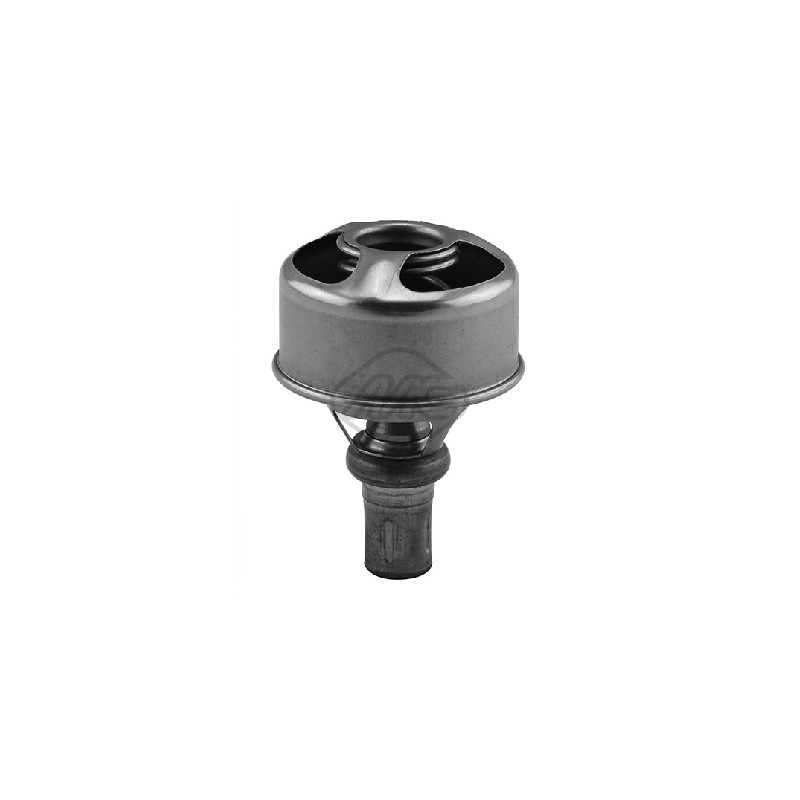 Thermostat d'eau Metalcaucho