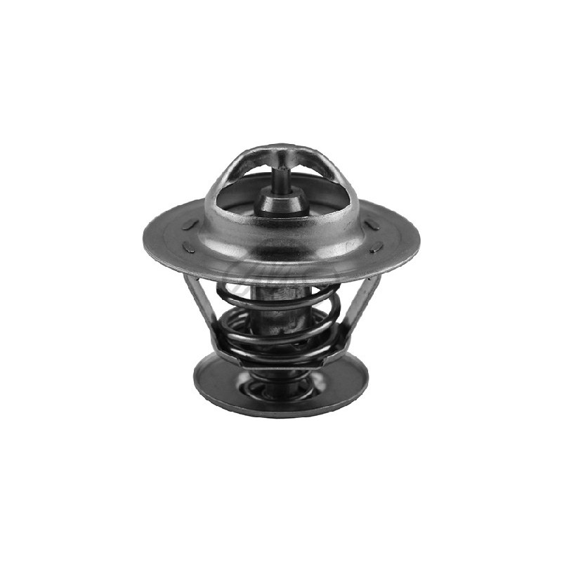 Thermostat d'eau Metalcaucho