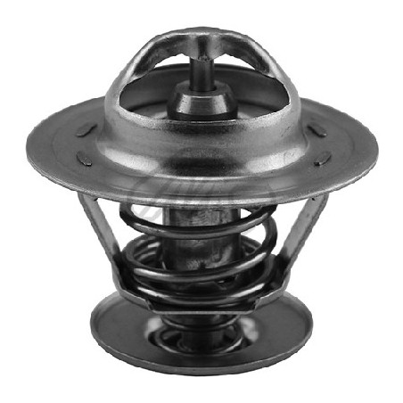 Thermostat d'eau Metalcaucho