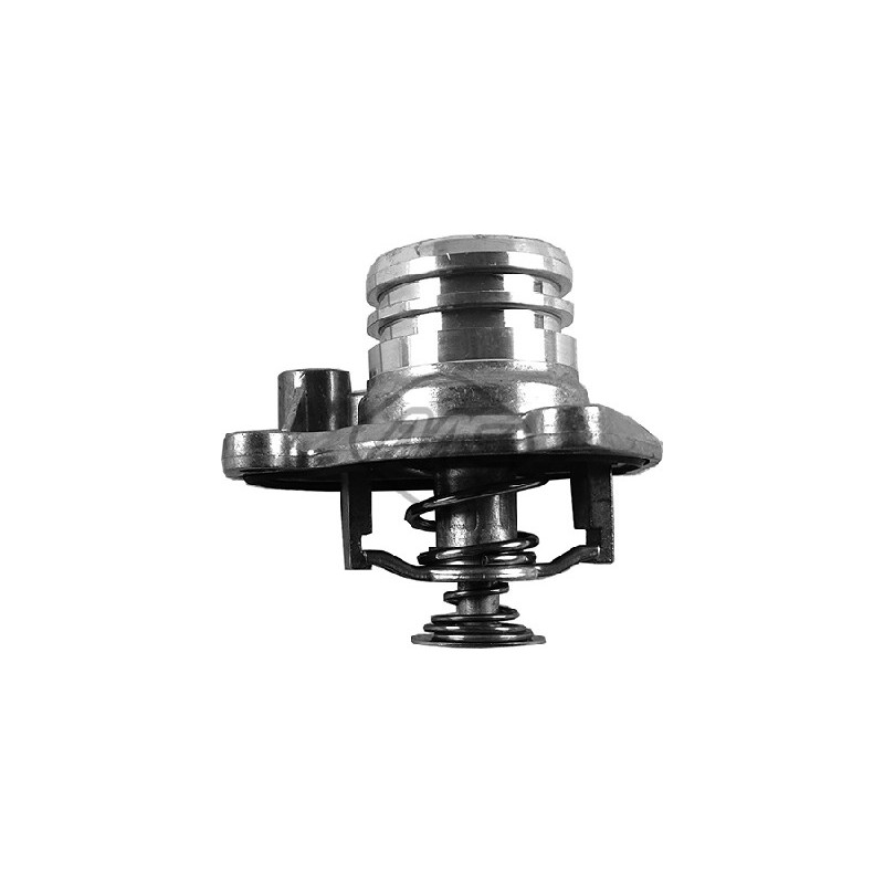 Thermostat d'eau Metalcaucho