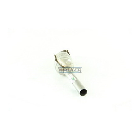 Catalyseur WALKER