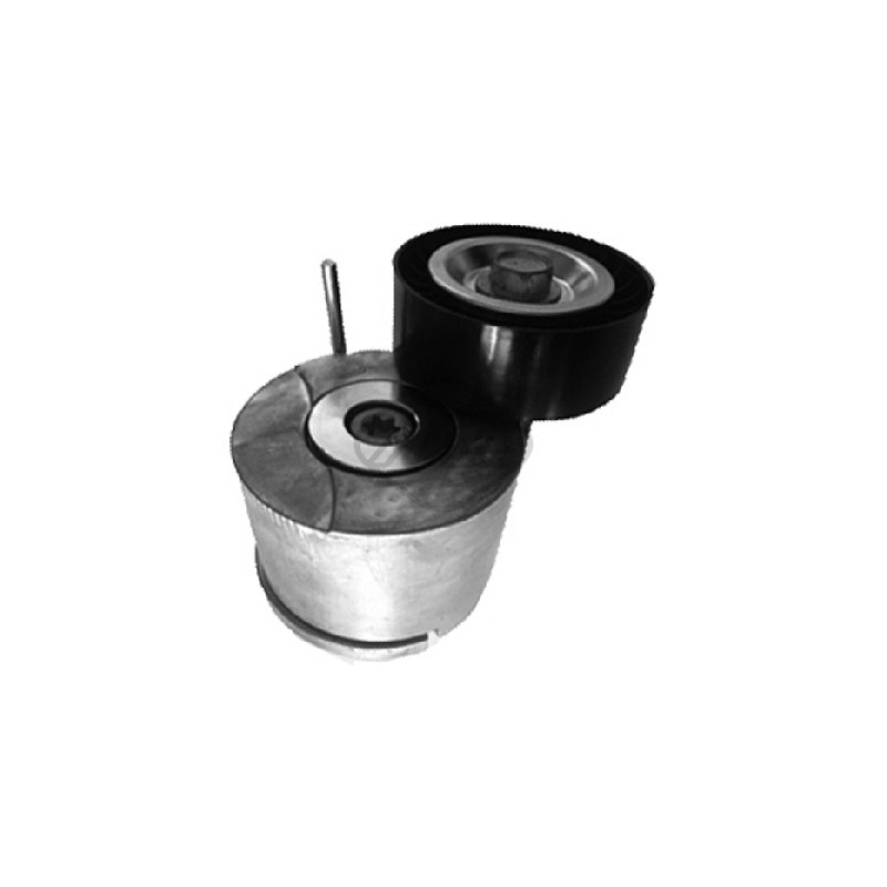Tendeur de courroie (courroie d'accessoire) Metalcaucho