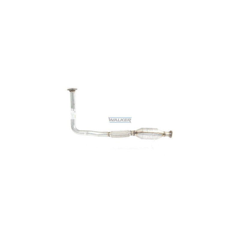 Catalyseur WALKER