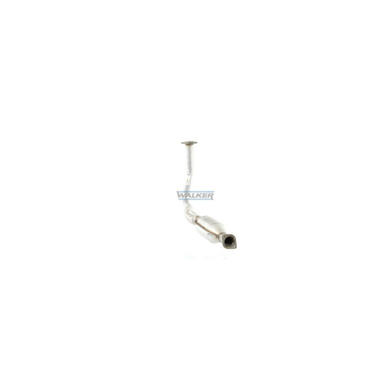 Catalyseur WALKER