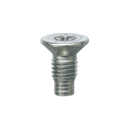 Clip (enjoliveur) RESTAGRAF