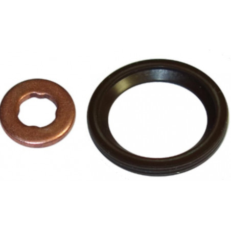 Kit de joints (injecteur) INTFRADIS