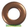 Bague d'étanchéité (porte-injecteur) INTFRADIS