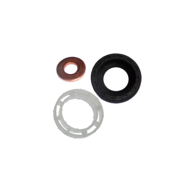 Kit de joints (injecteur) INTFRADIS