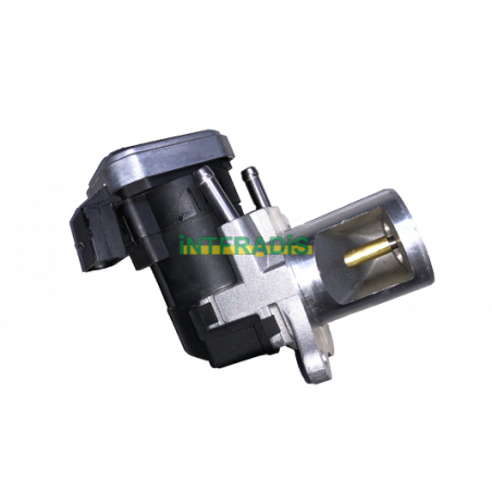 Vanne EGR / AGR INTFRADIS