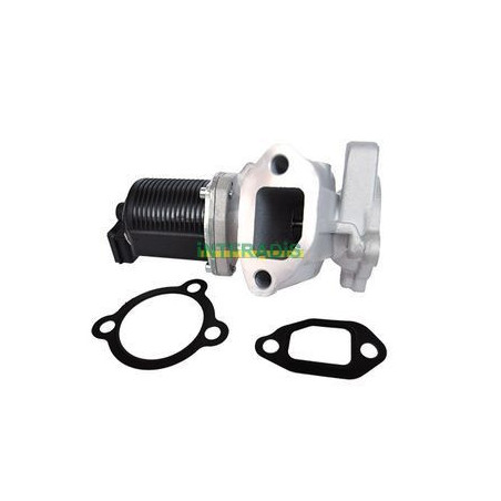 Vanne EGR / AGR INTFRADIS