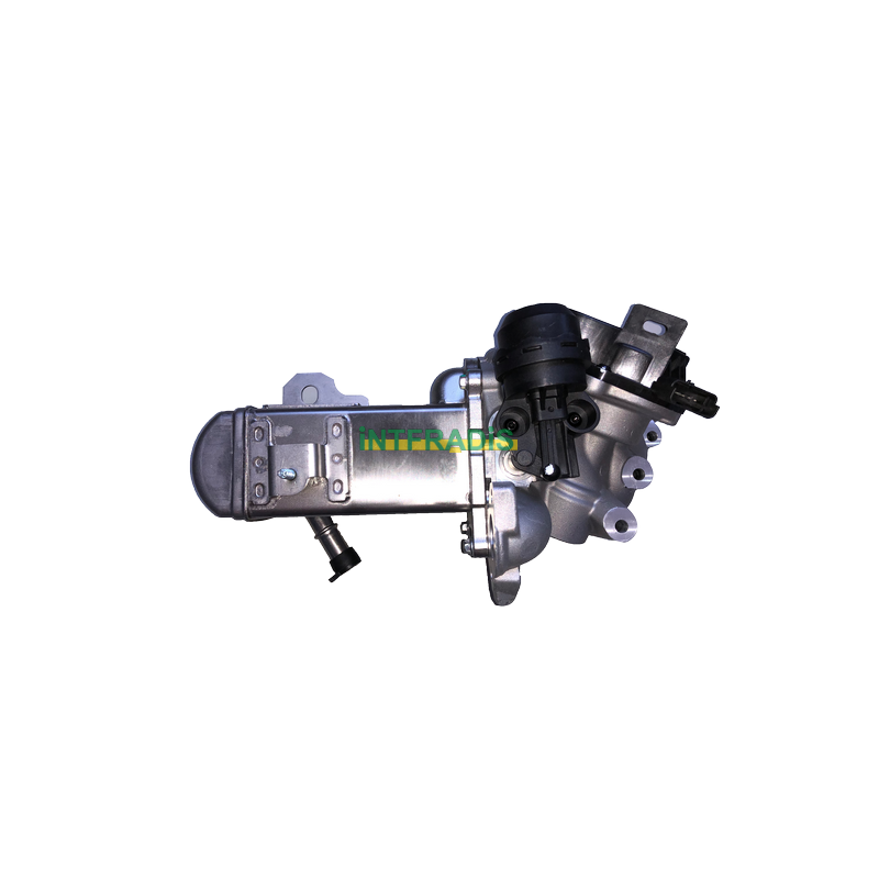 Vanne EGR / AGR INTFRADIS