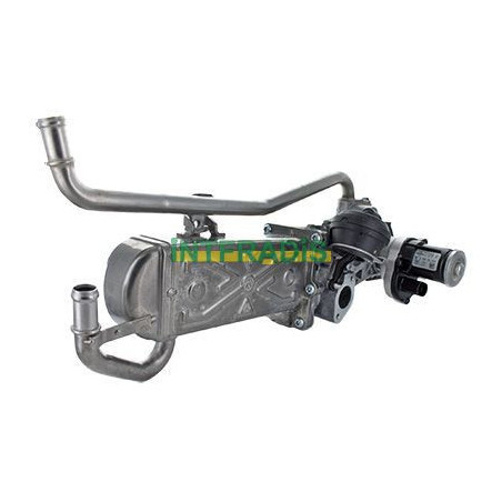 Vanne EGR / AGR INTFRADIS