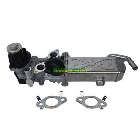 Vanne EGR / AGR INTFRADIS