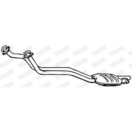 Catalyseur WALKER
