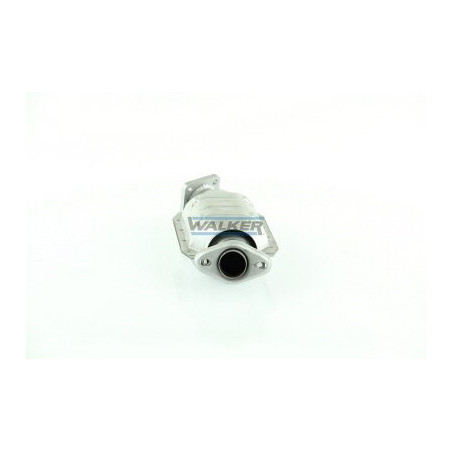 Catalyseur WALKER
