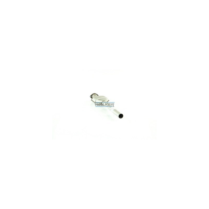 Catalyseur WALKER