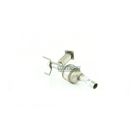 Catalyseur WALKER