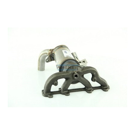 Catalyseur WALKER