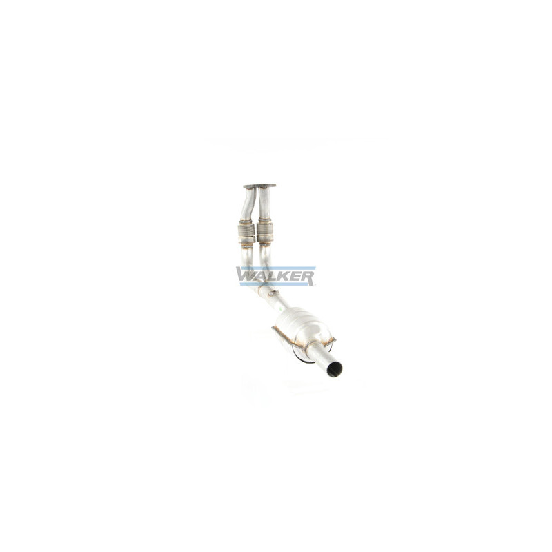 Catalyseur WALKER