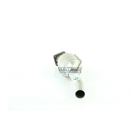 Catalyseur WALKER