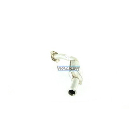 Catalyseur WALKER