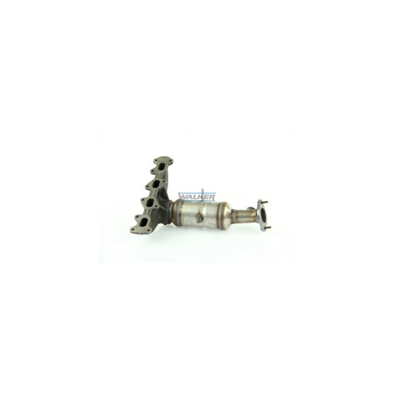 Catalyseur WALKER