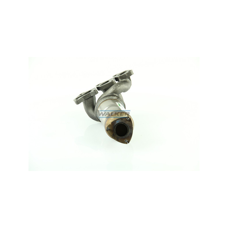Catalyseur WALKER