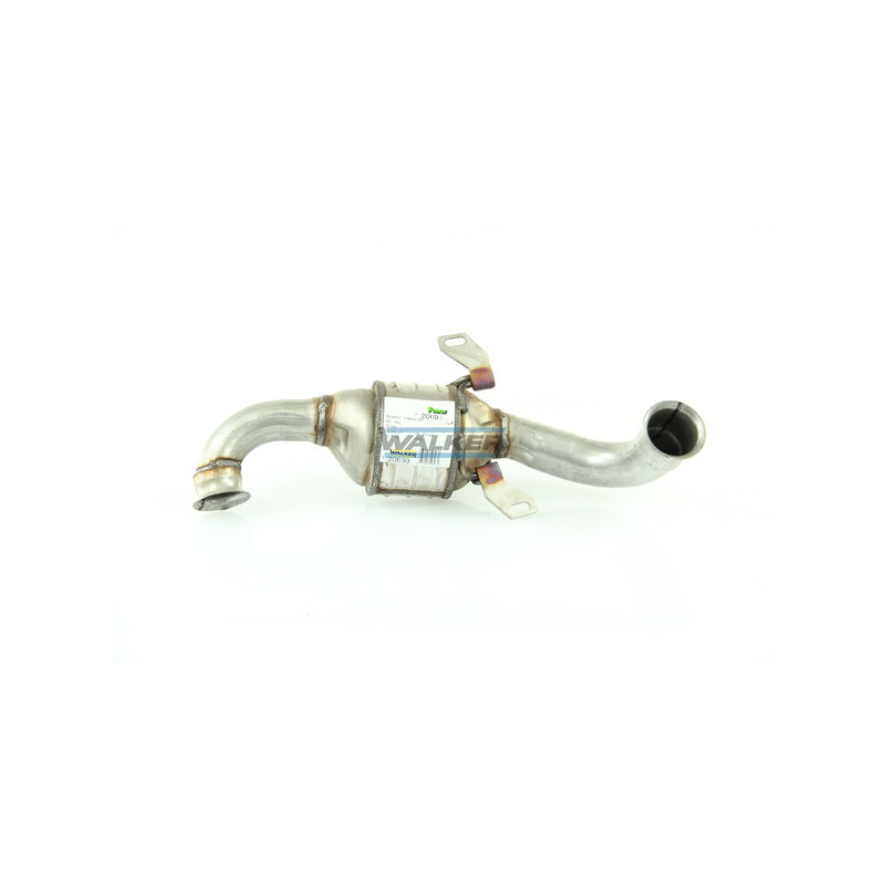 Catalyseur WALKER