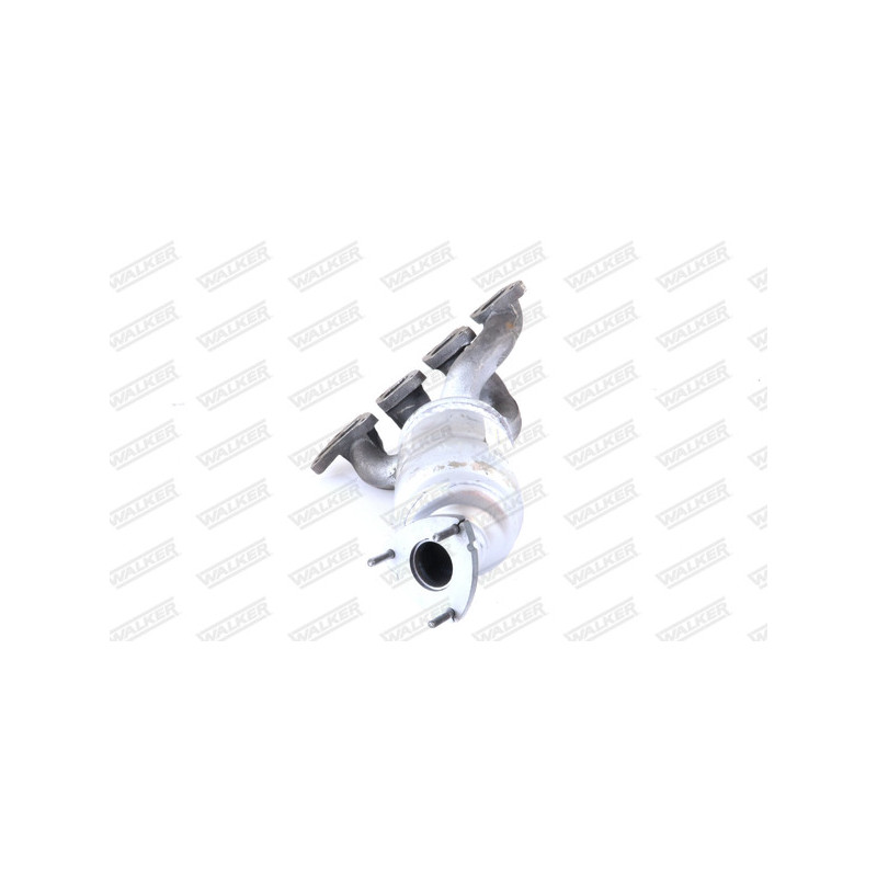 Catalyseur WALKER