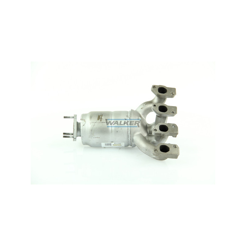 Catalyseur WALKER
