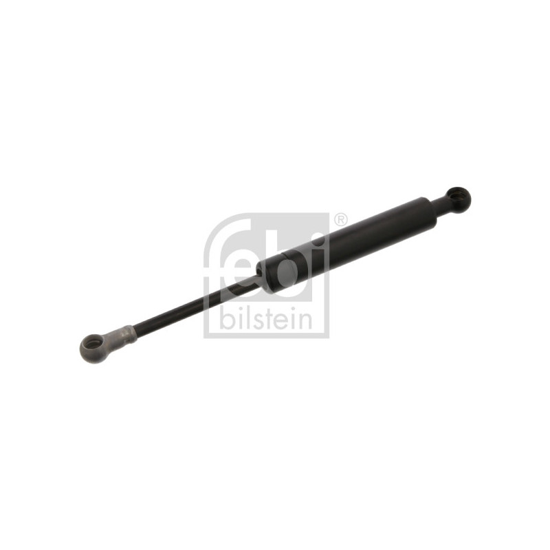 Amortisseur tringlerie (injection) FEBI BILSTEIN