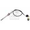 Palpeur (température des gaz) FEBI BILSTEIN